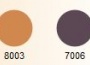 barva - Avicenum 70 – podpůrné punčochy se samodržící krajkou (foto 1)
