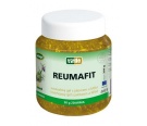 Reumafit kostivalový gel s jalovcem a MSM 350 ml