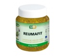 Reumafit kostivalov� gel s jalovcem a MSM